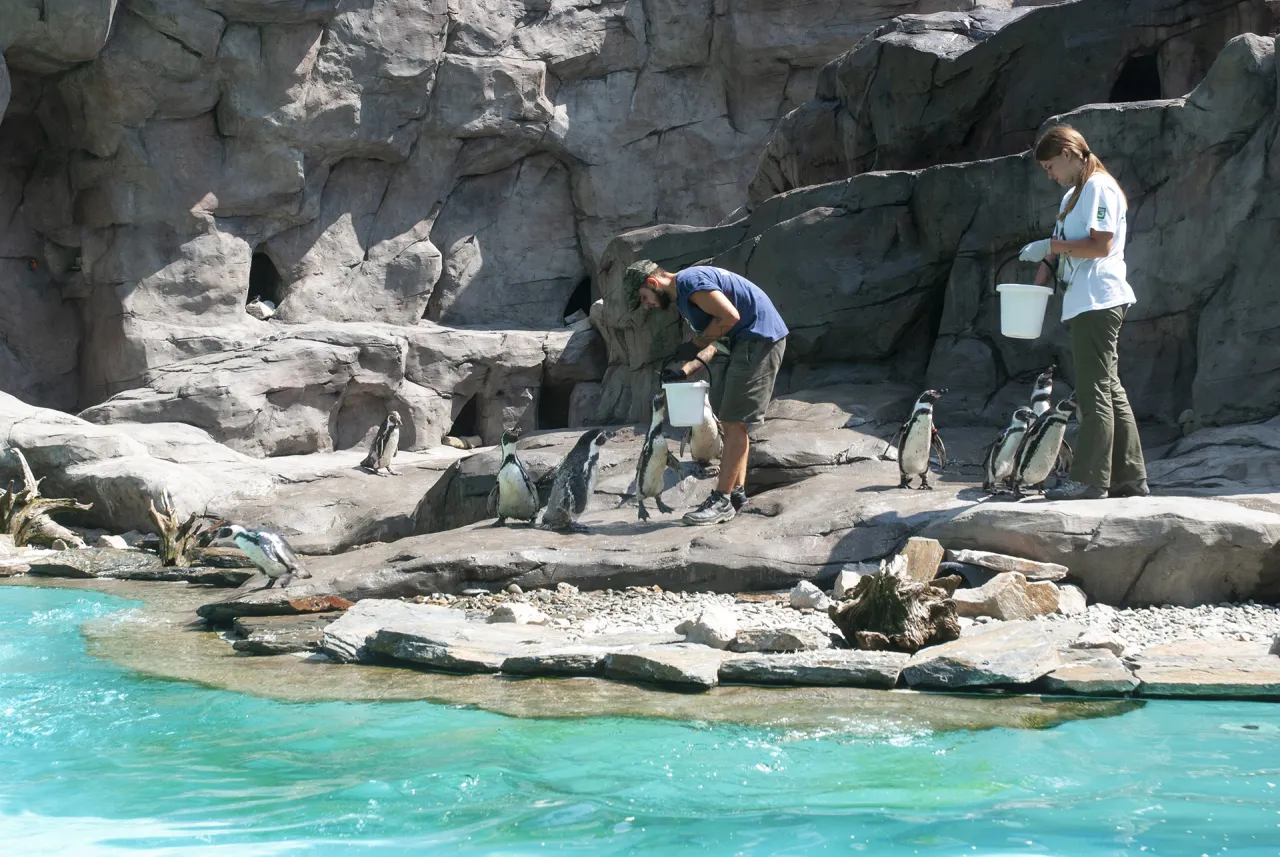 Krakowskie ZOO dzieci karmiące zwierzęta