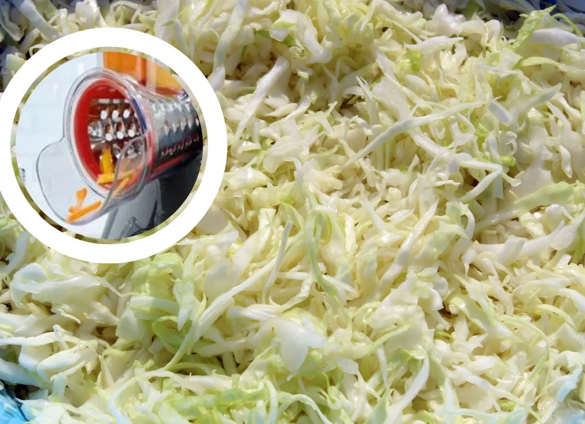 cienka szatkowana kapusta na surówkę