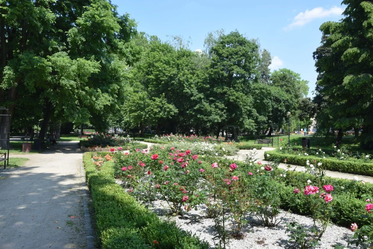 Park Róż Gorzów Wielkopolski