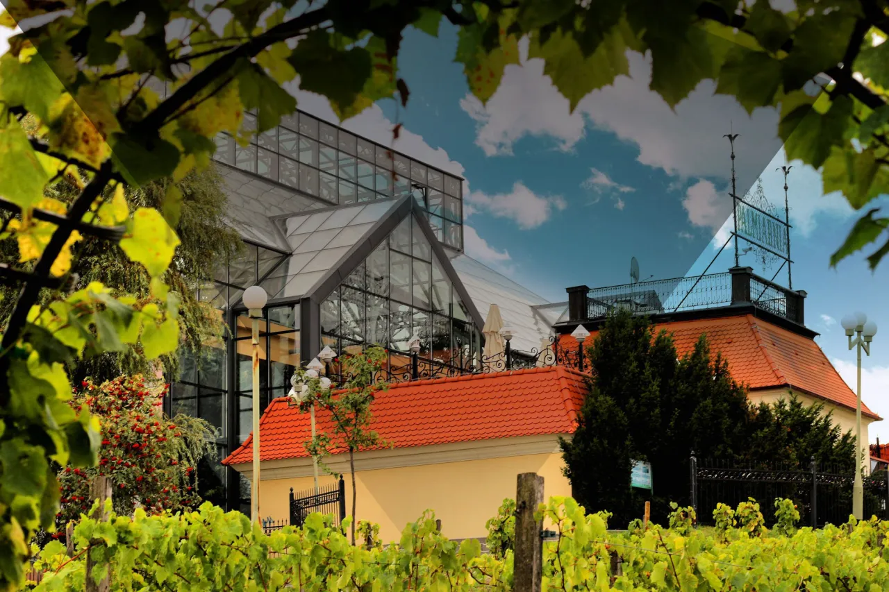 Palmiarnia Zielona G&oacute;ra panorama