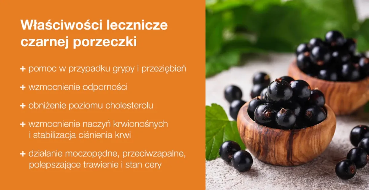 Składniki odżywcze czarnej porzeczki infografika