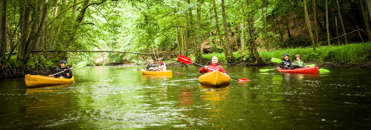 Spływ kajakowy Drawa krajobrazy, rzeka Drawa kajaki