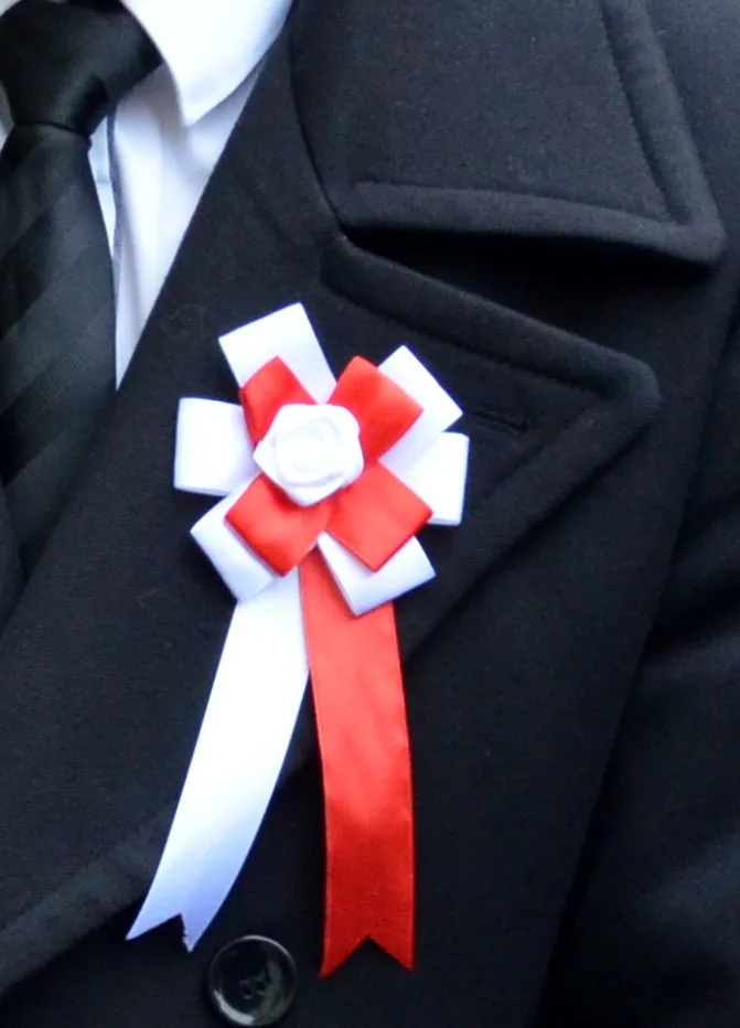 Zdjęcie Dlaczego powinniśmy szanować symbole narodowe i ich znaczenie dla tożsamości