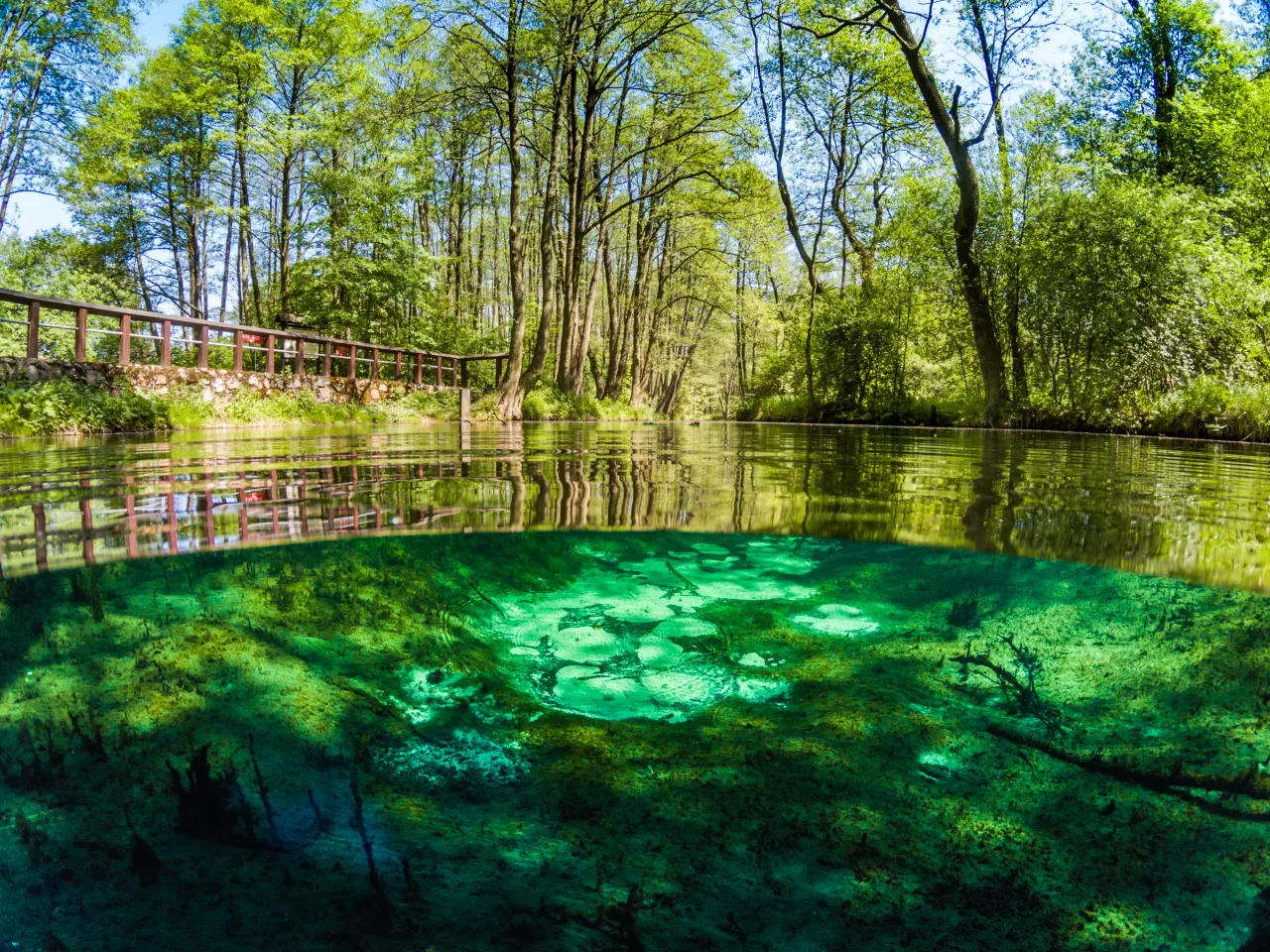 Widok na Niebieskie Źr&oacute;dła w Tomaszowie Mazowieckim