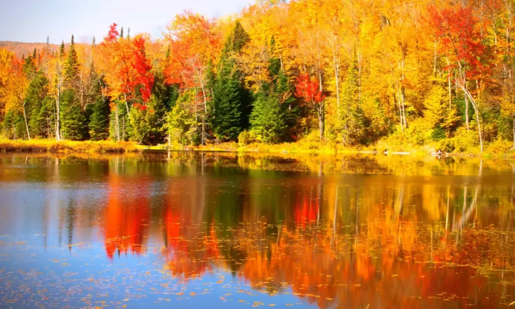 Malownicze krajobrazy Bieszczadów jesienią