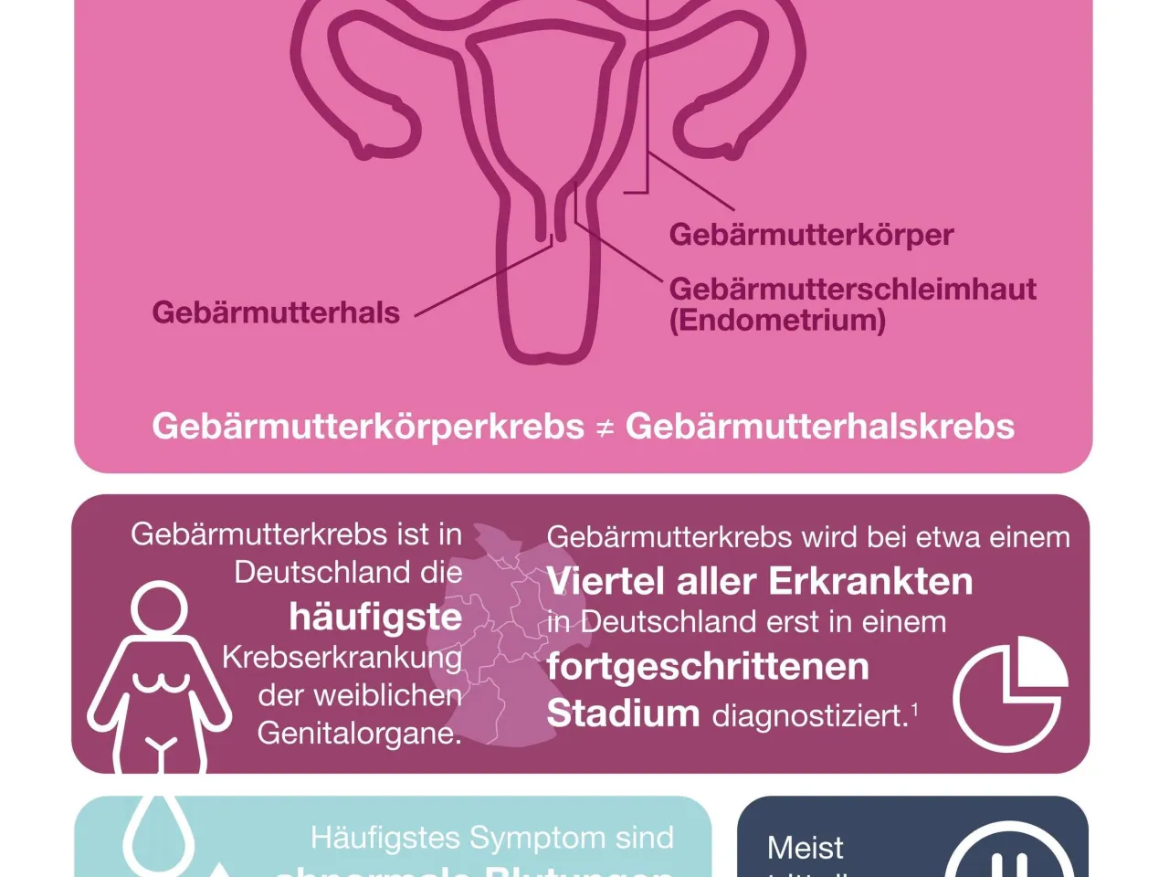 Risikofaktoren Gebärmutterkrebs Infografik
