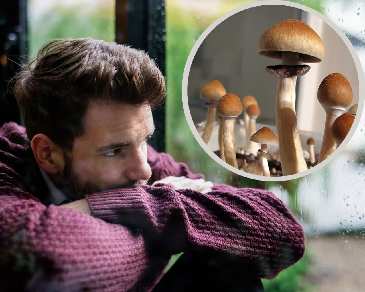 terapia psychodeliczna depresja PTSD