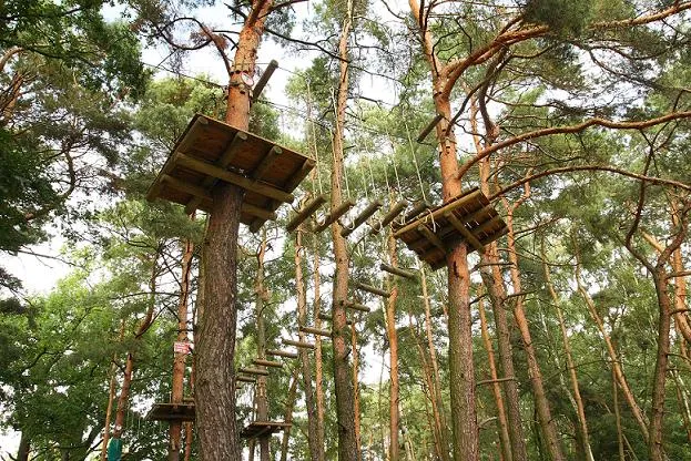 Park Linowy Wieżyca Brzeg Dolny widok ogólny