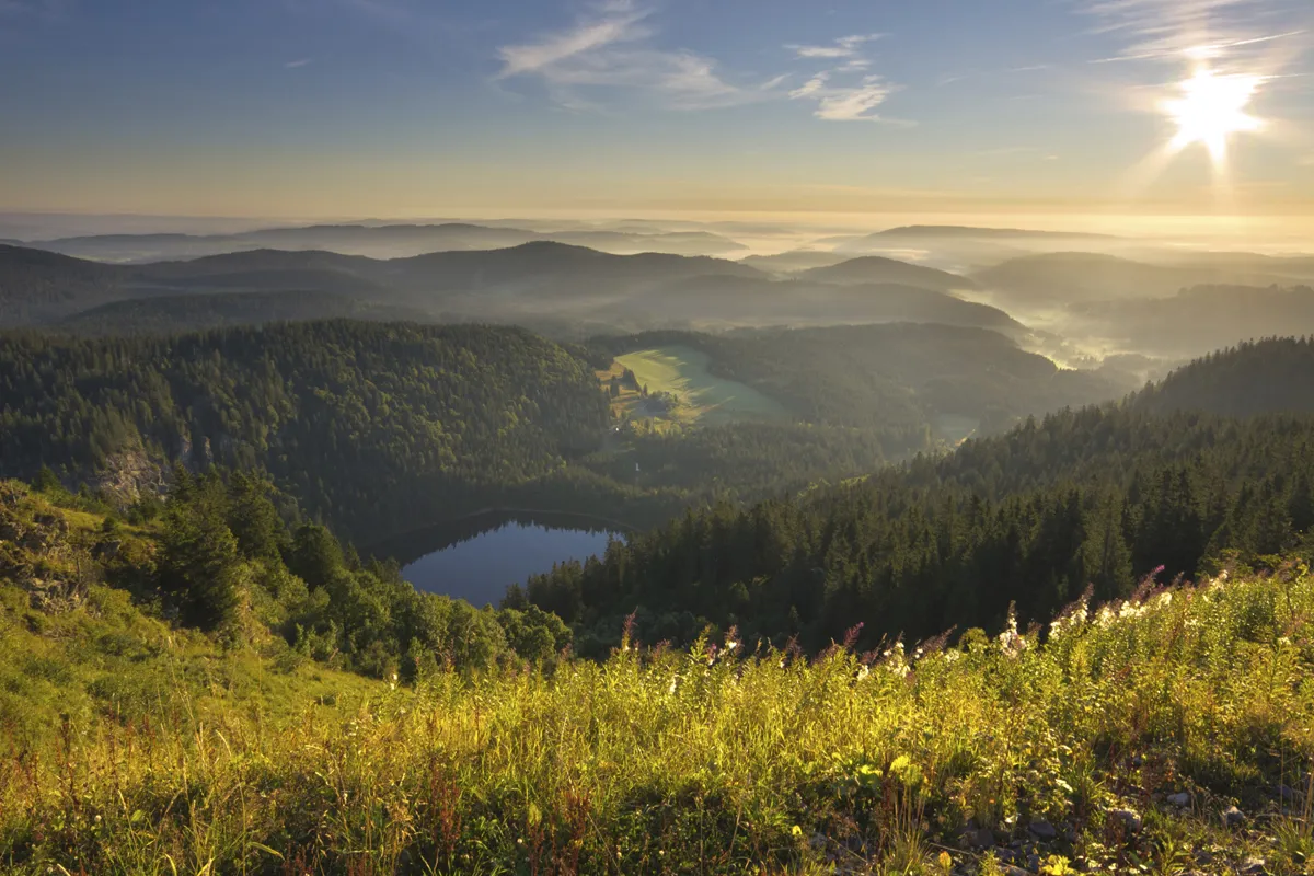 Panoramablick vom Feldberg Schwarzwald bei Sonnenschein