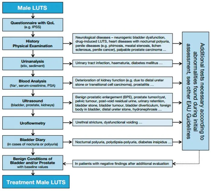 Badania urologiczne schemat