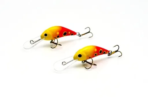 okoń pstrąg kleń jaź