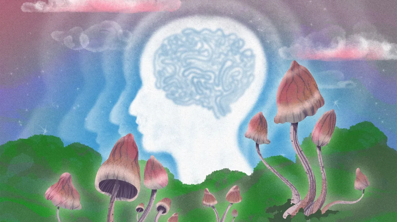 Hyperreal forum psychedelics knowledge