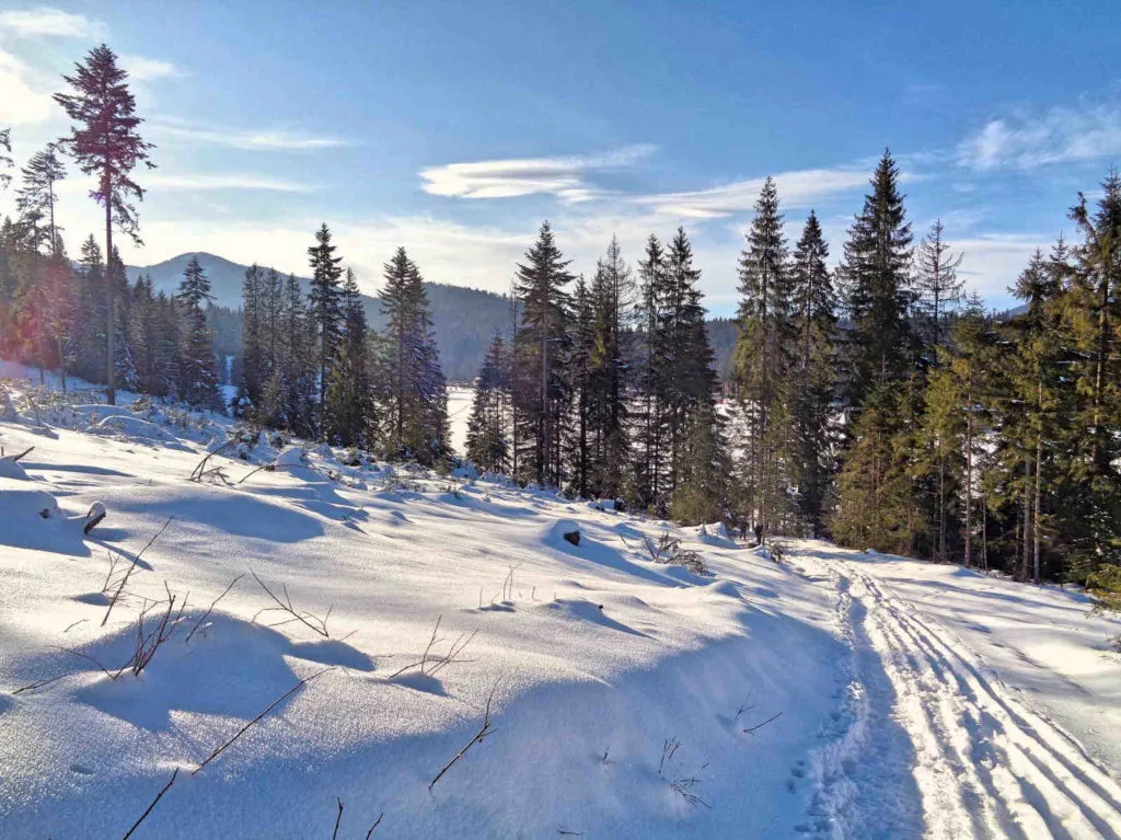 Dolina Kościeliska zimą, Droga pod Reglami, Rusinowa Polana śnieg