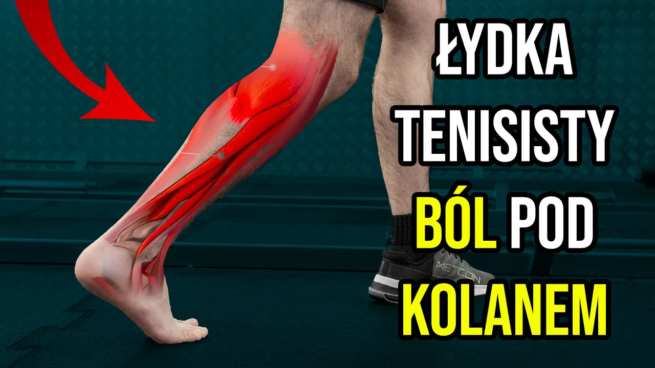 Uraz mięśnia brzuchatego łydki schemat