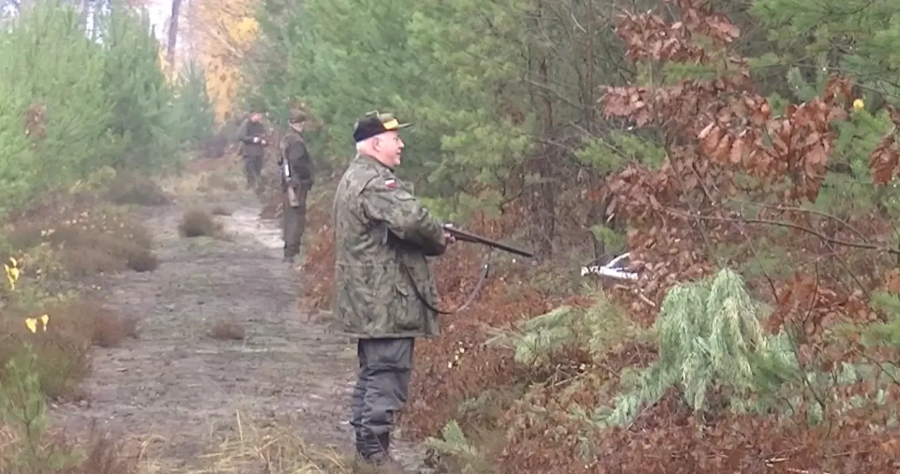Myśliwy w lesie z bronią. Czy myśliwy ma obowiązek poinformować o polowaniu? W tle inni myśliwi.