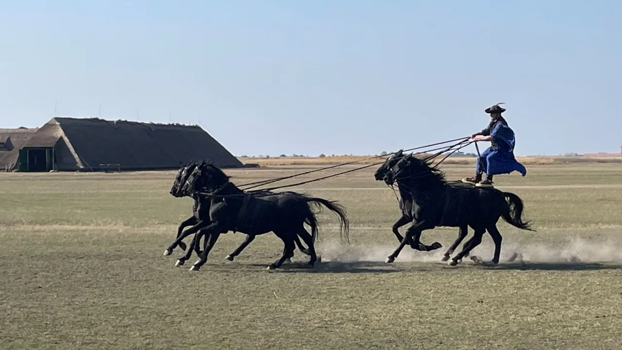 Węgry Puszta Hortobágy pokaz jeździecki