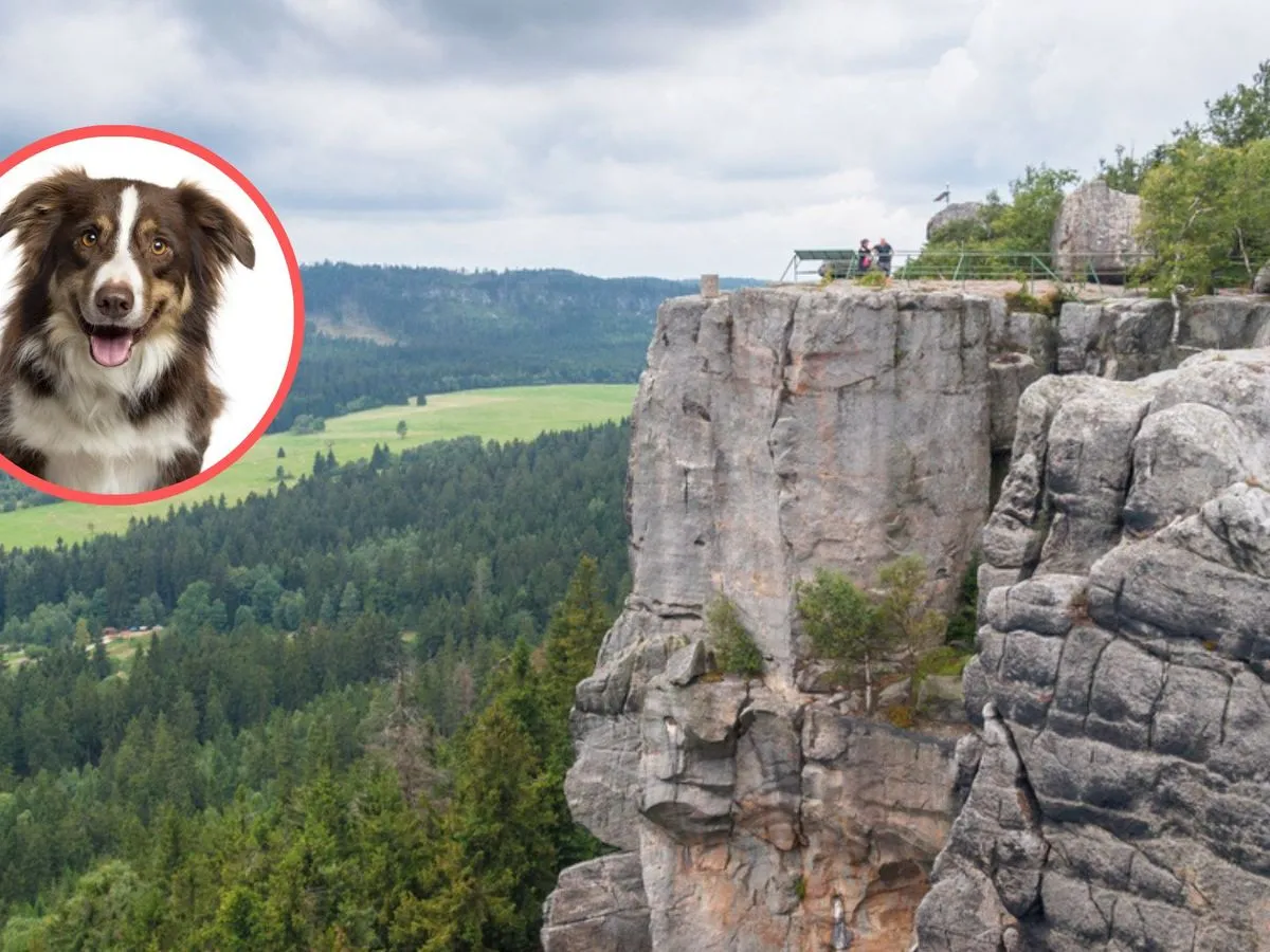 G&oacute;ry Stołowe szlak dla ps&oacute;w krajobraz