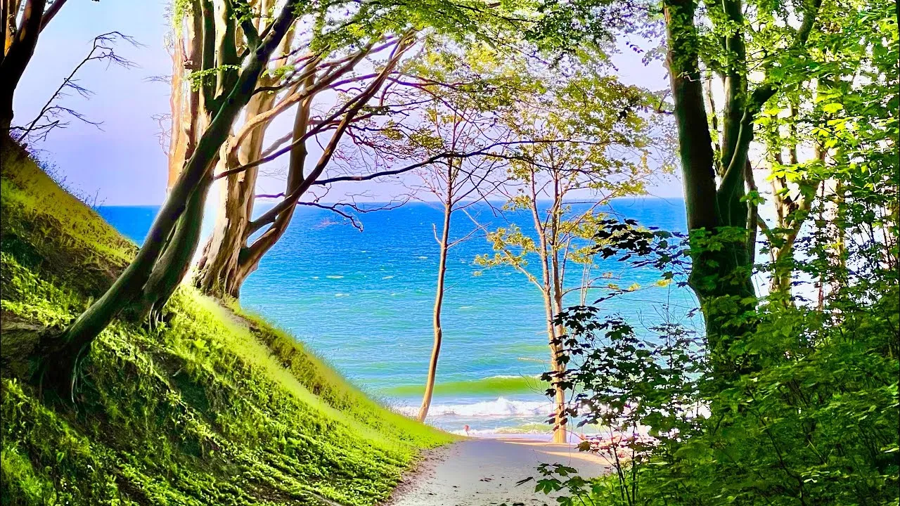 Lisi Jar Jastrzębia G&oacute;ra