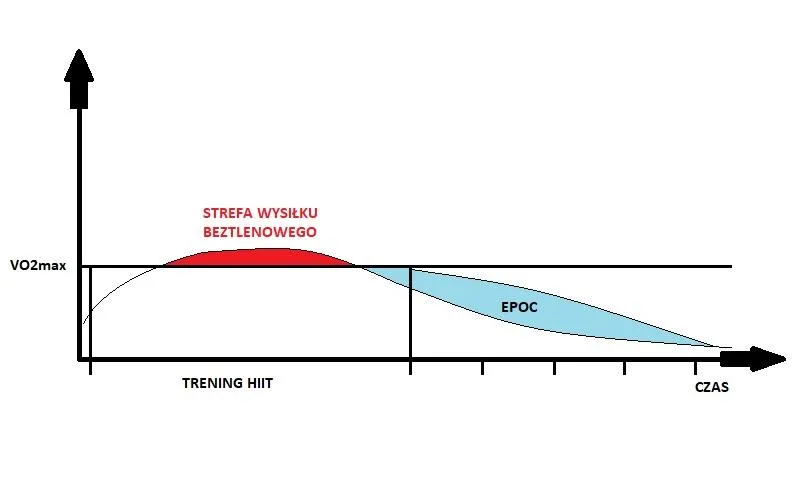 wykres efekt EPOC po treningu siłowym