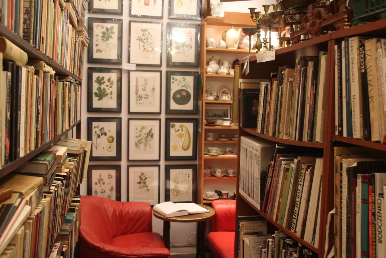 wnętrze antykwariatu, stare książki na półkach