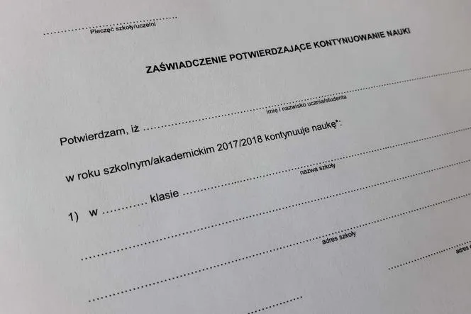 dokumenty ZUS, zaświadczenie o nauce, terminy ZUS