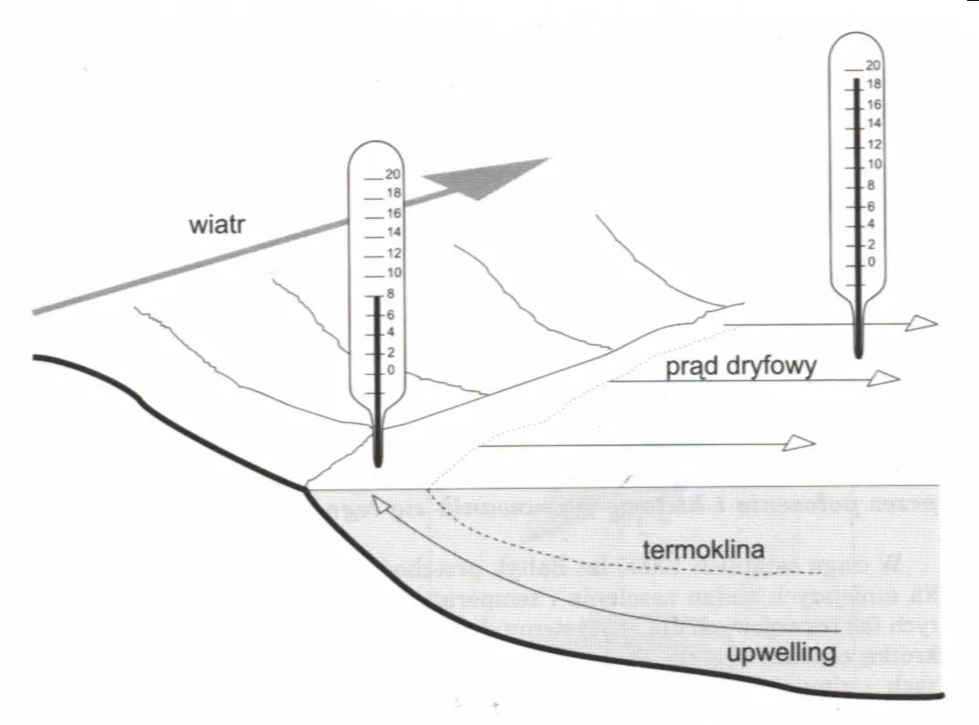 Upwelling Bałtyk schemat