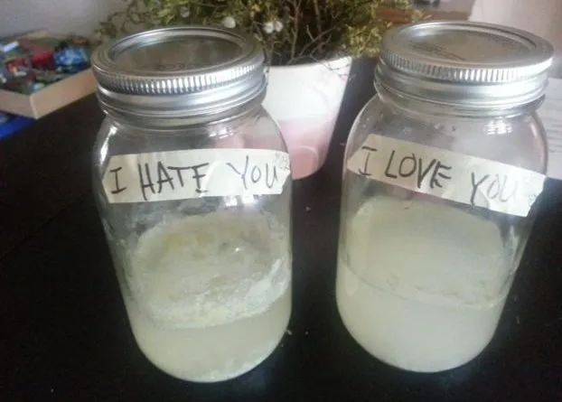 Ryż eksperyment Emoto fermentacja gnicie porównanie