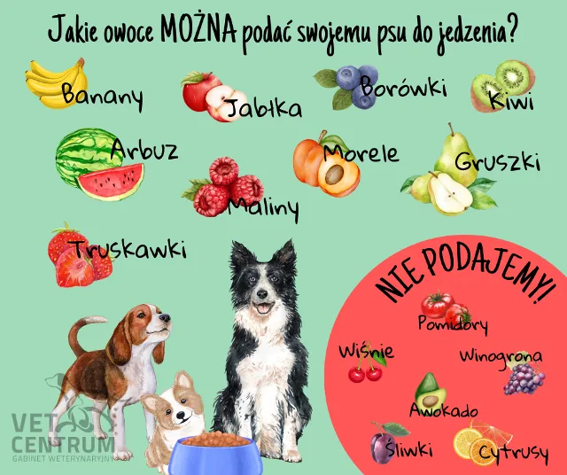 bezpieczne owoce dla psa lista