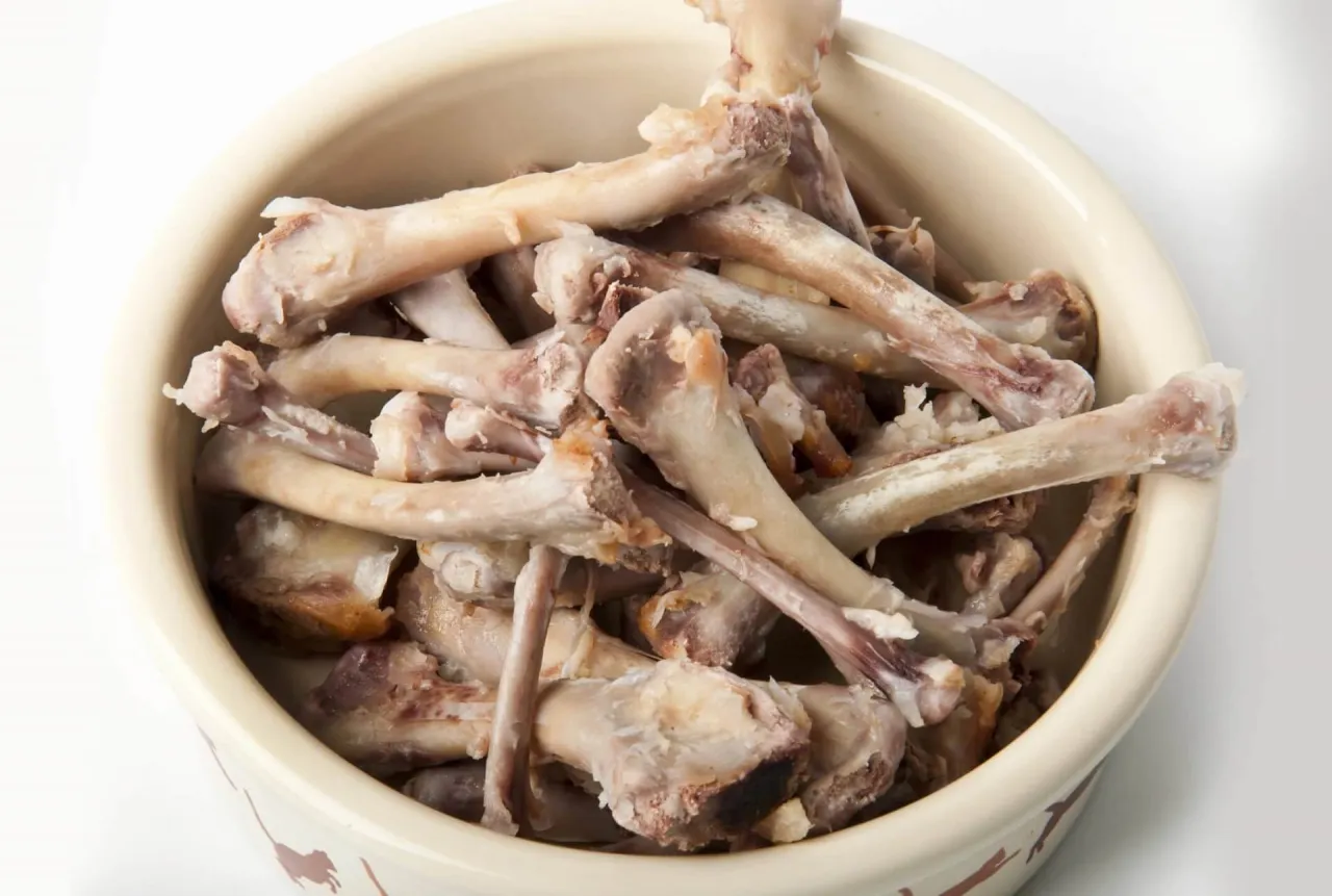 niebezpieczne kości drobiowe dla psa