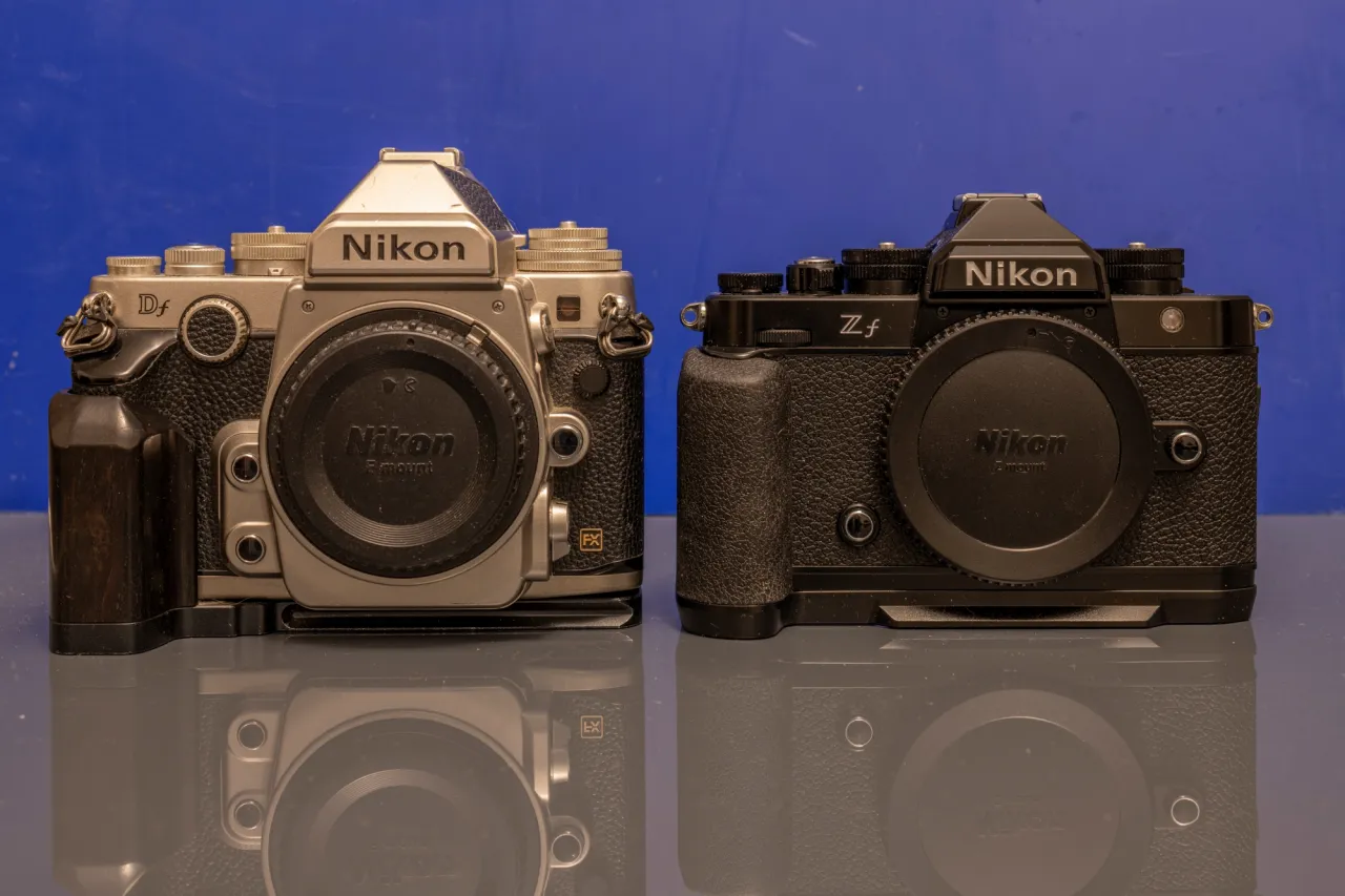 bezlusterkowiec kontra lustrzanka fotografia zwierząt