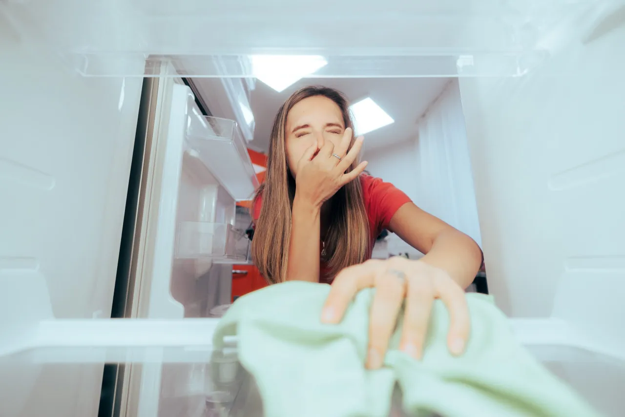 nieprzyjemny zapach w lodówce przyczyny