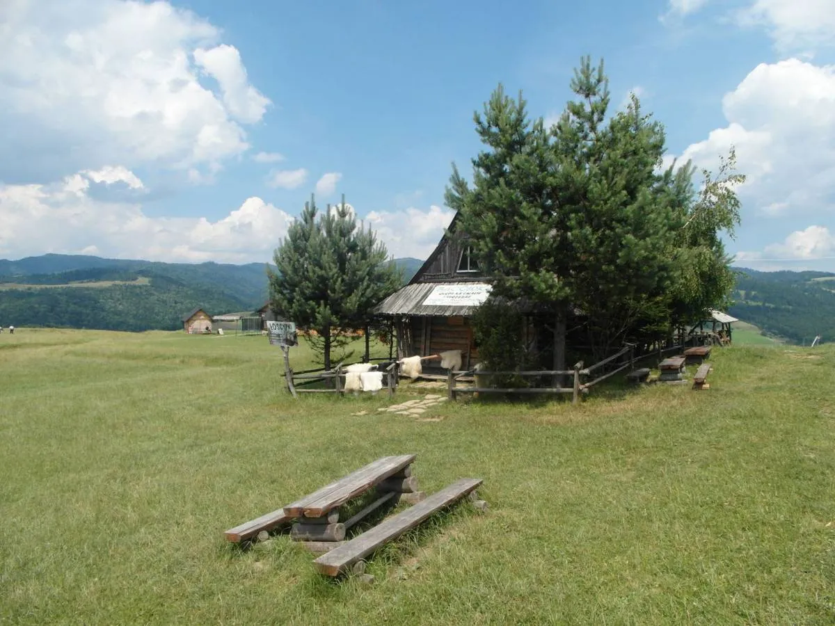 Bac&oacute;wka u Wojtka Jaworki, Pieniny krajobraz