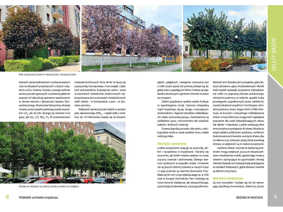 Kryteria wyboru drzewa, planowanie zieleni miejskiej