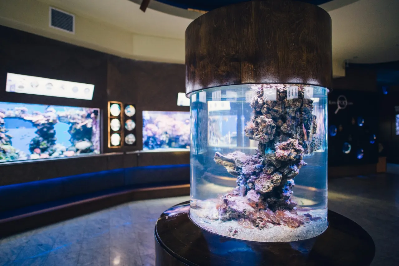 Akwarium Gdyńskie godziny otwarcia tablica