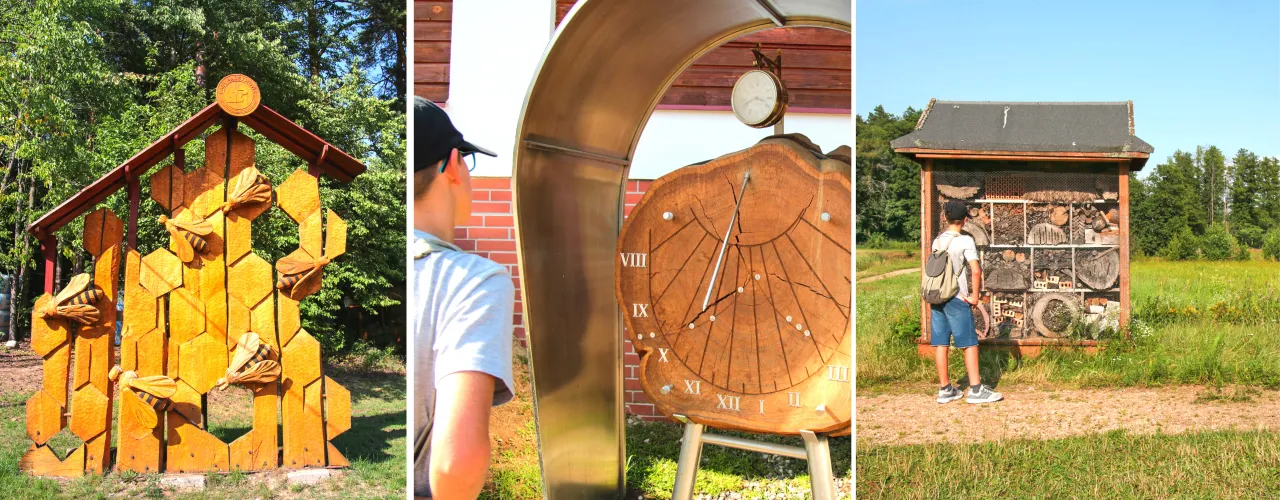 Puszcza Knyszyńska krajobraz