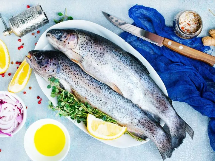 różne gatunki ryb dorsz łosoś pstrąg