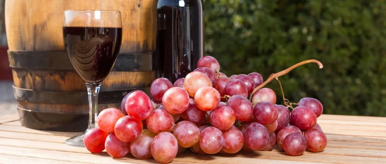różne odmiany winogron do nalewek
