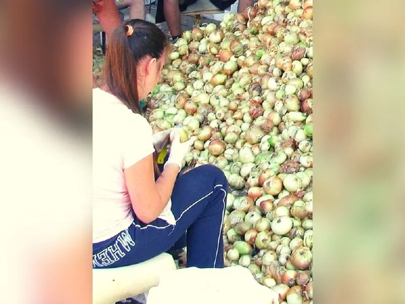 osoba obierająca cebulę w pracy