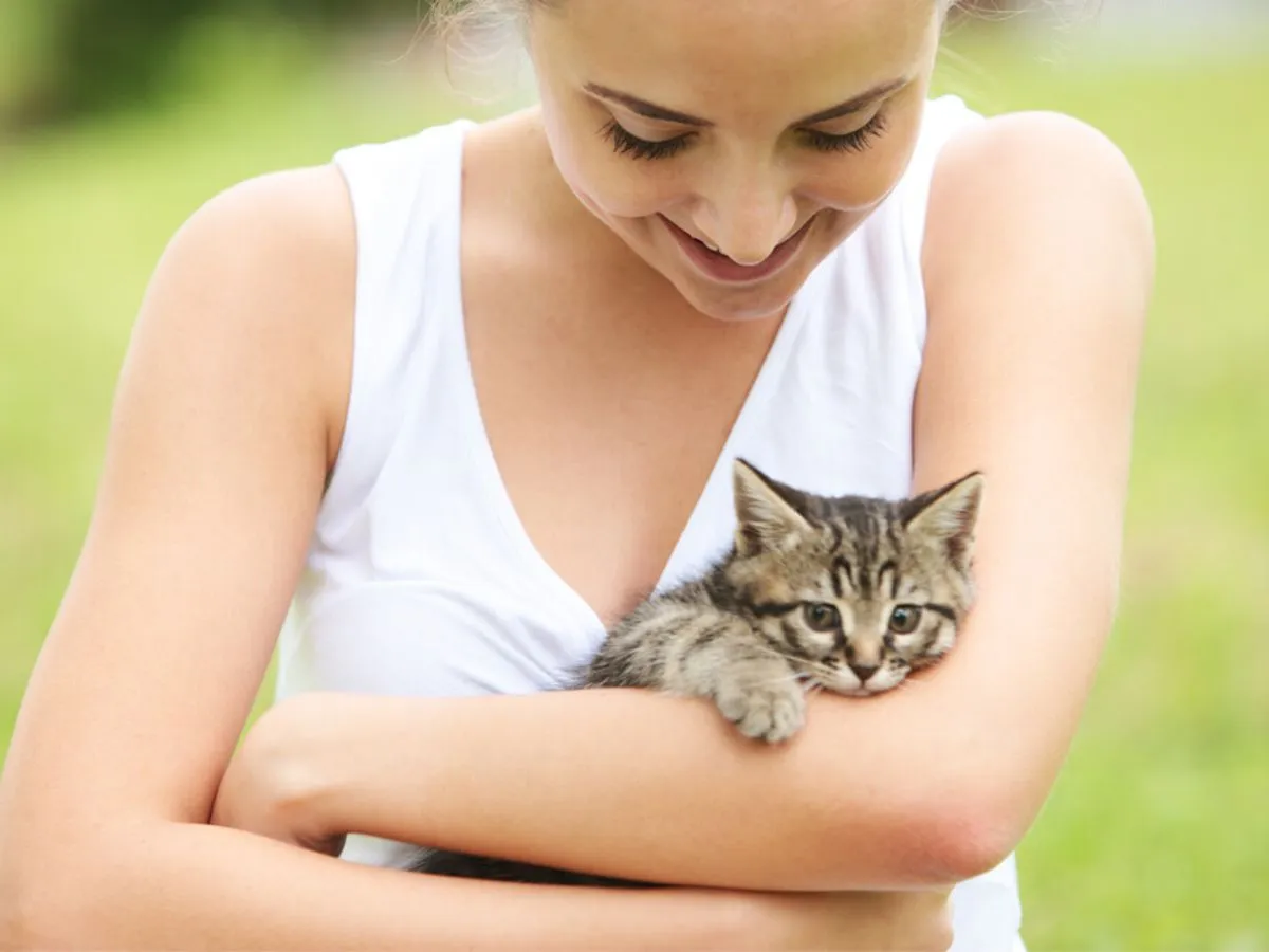 opieka nad małymi kociętami