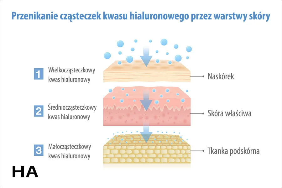 kwas hialuronowy w kosmetykach wielkocząsteczkowy vs małocząsteczkowy