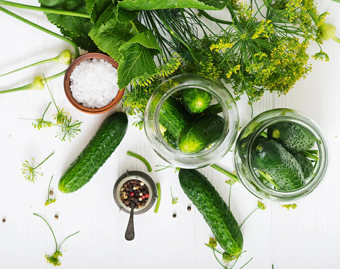 ogórki gruntowe do kiszenia, sól kamienna, koper, czosnek