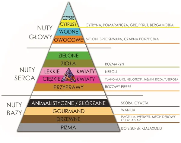 rodziny zapachowe męskie infografika