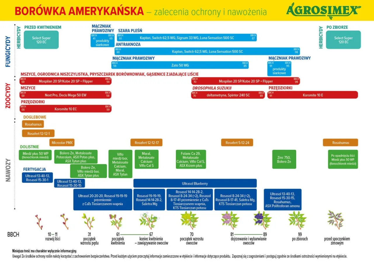 Tabela z zaleceniami ochrony i nawożenia borówki amerykańskiej. Kiedy zakwaszać borówkę? Sprawdź fazy rozwojowe BBCH i odpowiednie preparaty.