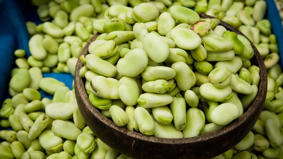 Jak wybrać świeży b&oacute;b