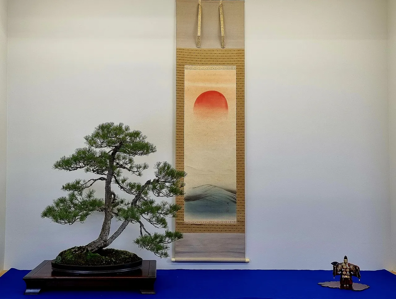 kalendarz przycinania bonsai dla różnych gatunków