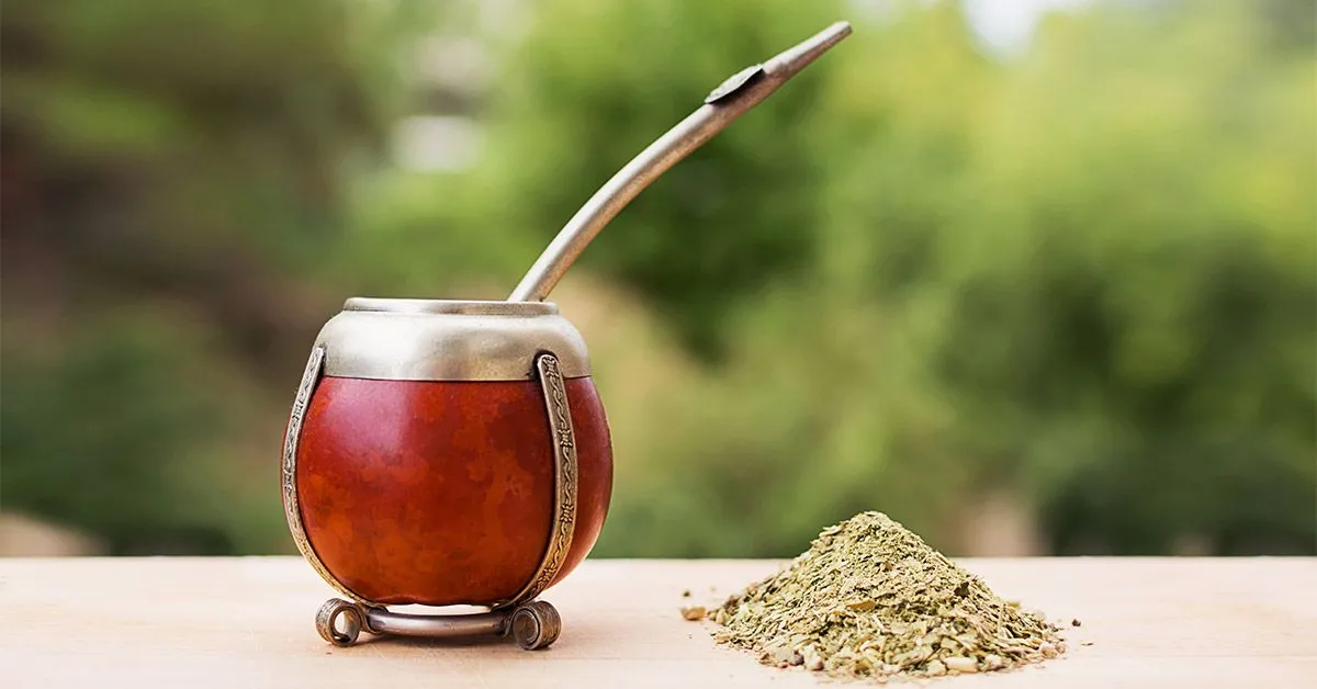 Yerba mate side effects