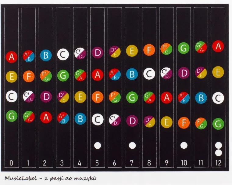 Ukulele gryf dźwięki nuty