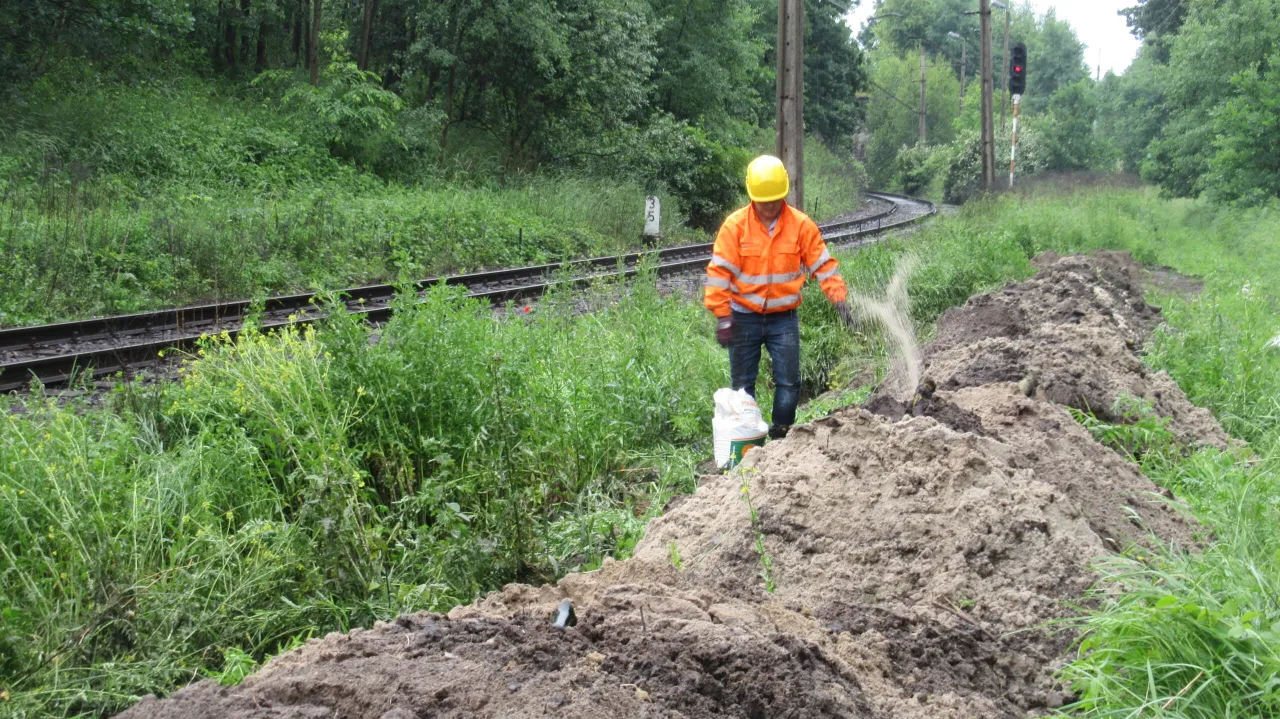Pracownik w pomarańczowej kurtce i ż&oacute;łtym kasku rozsypuje piasek, pokazując, jak chronić glebę przed zanieczyszczeniami.