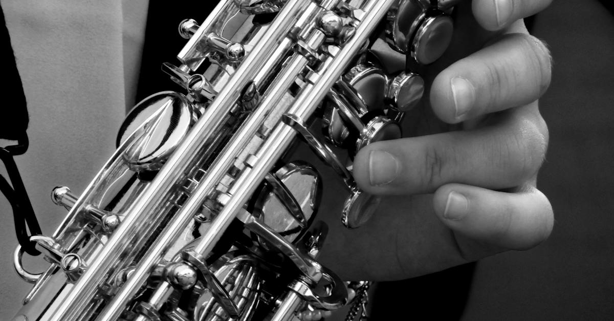 Jaka tuba jest najlepsza dla początkujących? Instrument idealny do nauki gry