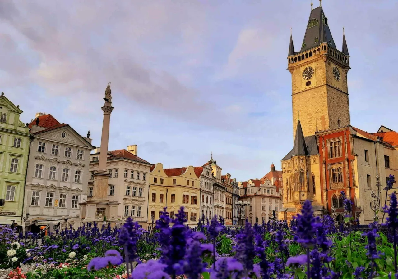 Kwiaty na Rynku Staromiejskim w Pradze, gdzie warto zwiedzić wieżę ratuszową i kolumnę Mariacką.
